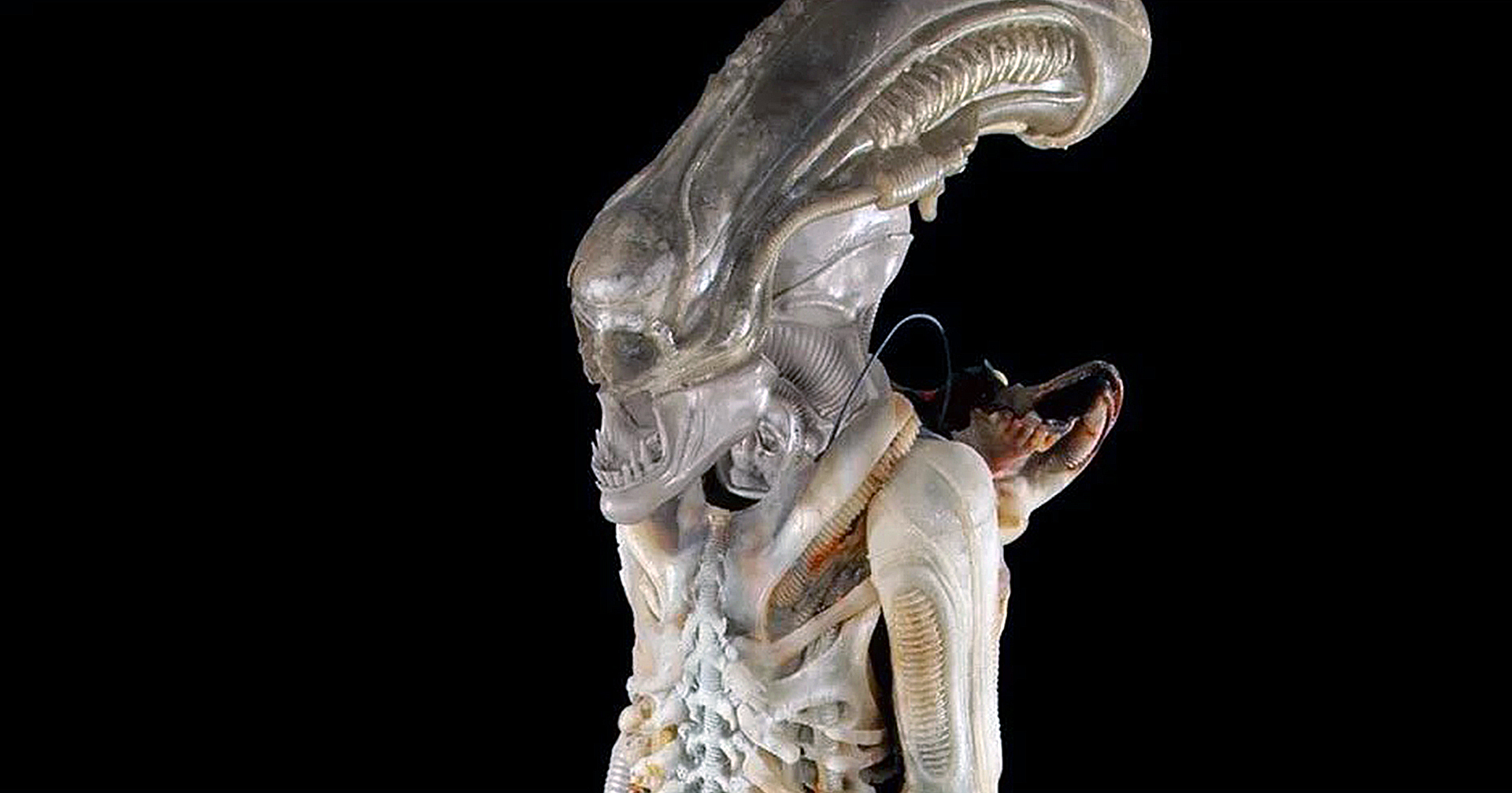 ชุด Xenomorph สุดหายากจากหนัง Alien ถูกนำมาประมูล : คาดอาจมีราคาสูงถึง 1.8 ล้านบาท