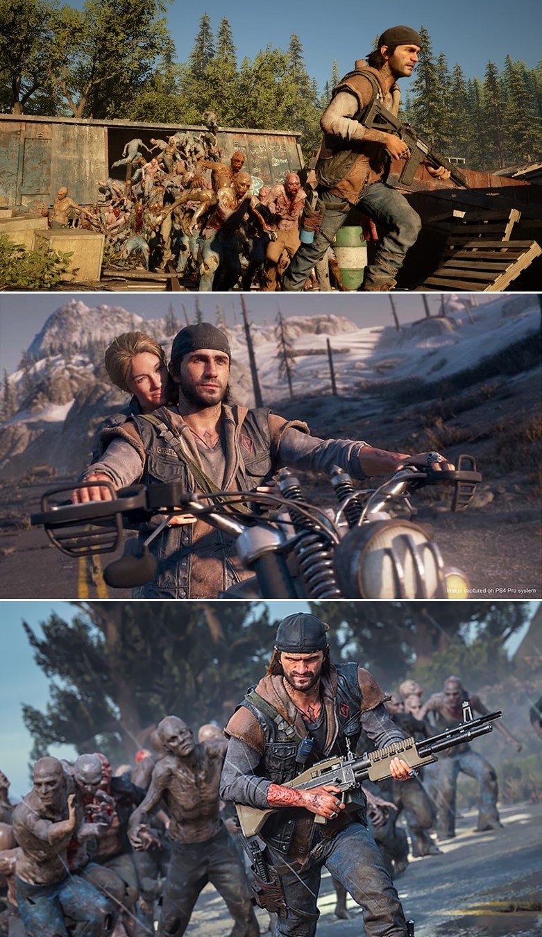 Days Gone