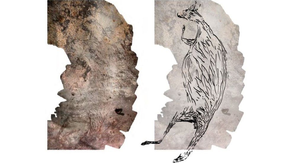 ค้นพบภาพเขียนสีรูปจิงโจ้ในถ้ำออสเตรเลีย อายุมากกว่า 17,300 ปี!