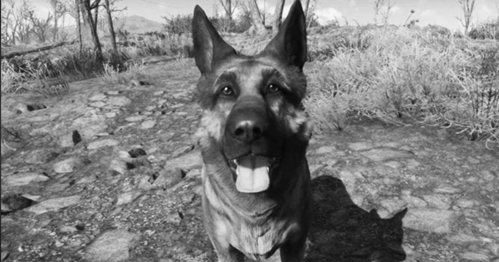 Fallout 4 (Dogmeat)