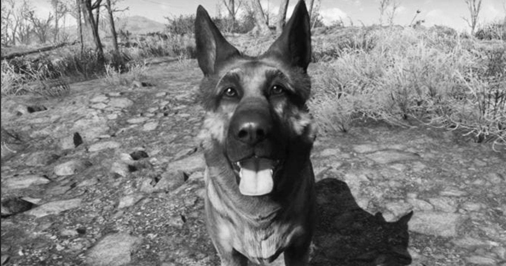 สุนัขผู้อยู่เบื้องหลัง ‘Dogmeat’ จาก Fallout 4 ได้เสียชีวิตลงแล้ว