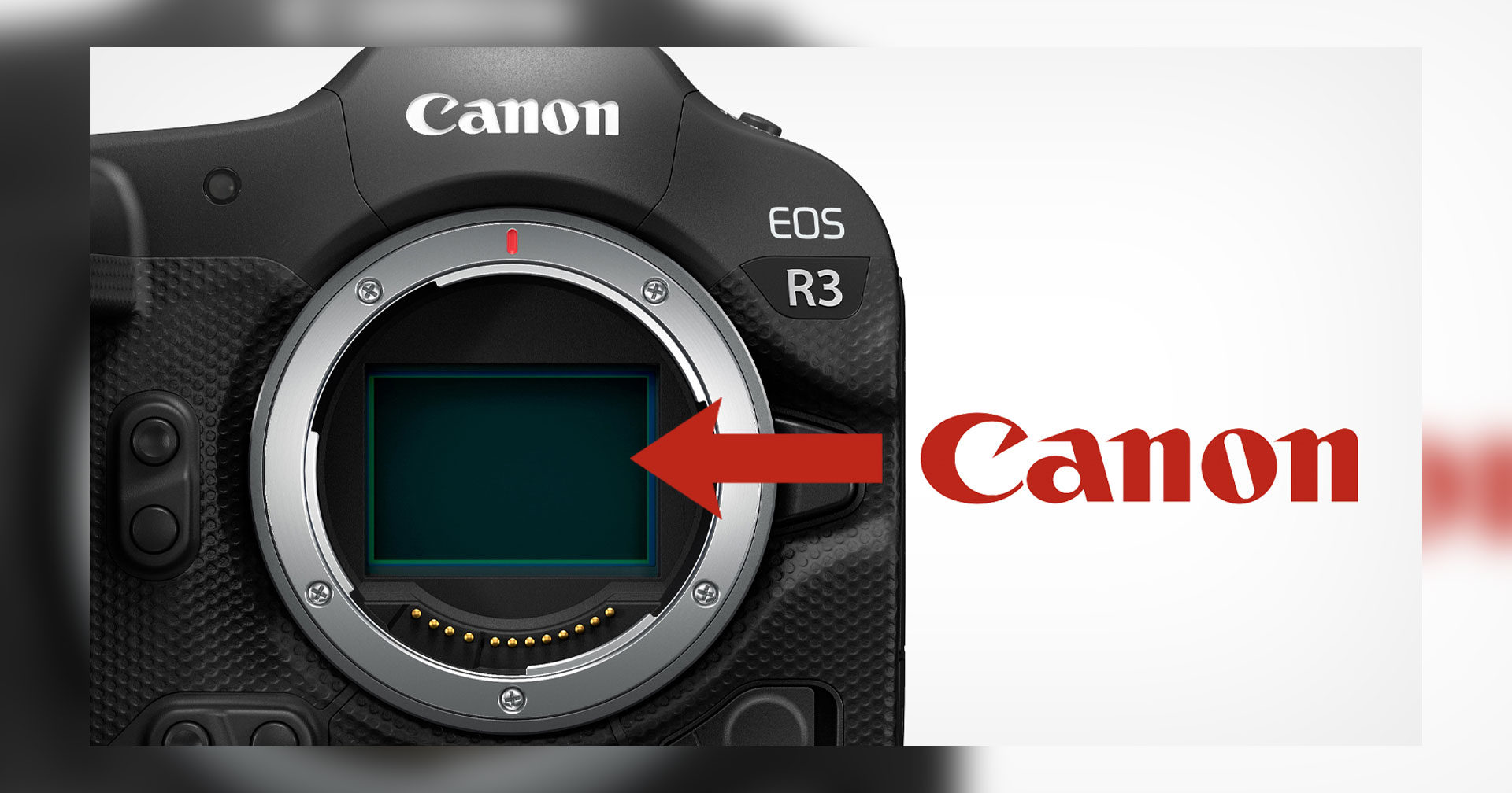 Canon ปฏิเสธข่าวลือ! เซนเซอร์ของ EOS R3 ไม่ได้ผลิตโดย Sony