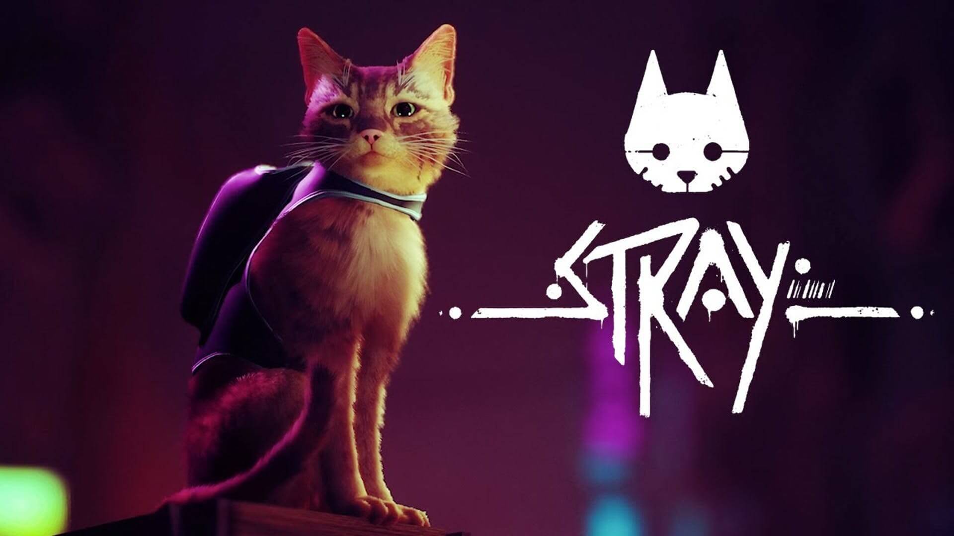 ทาสแมวต้องเล่น! Stray จะวางจำหน่ายในช่วงต้นปี 2022