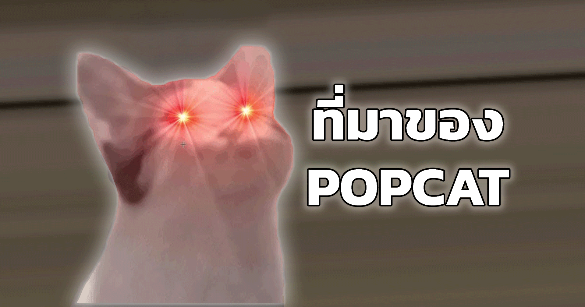 ที่มาของ POPCAT อะไรทำให้เจ้าแมวนี้กลายเป็นเกมติดกระแสบนโลกโซเชียลกันนะ?