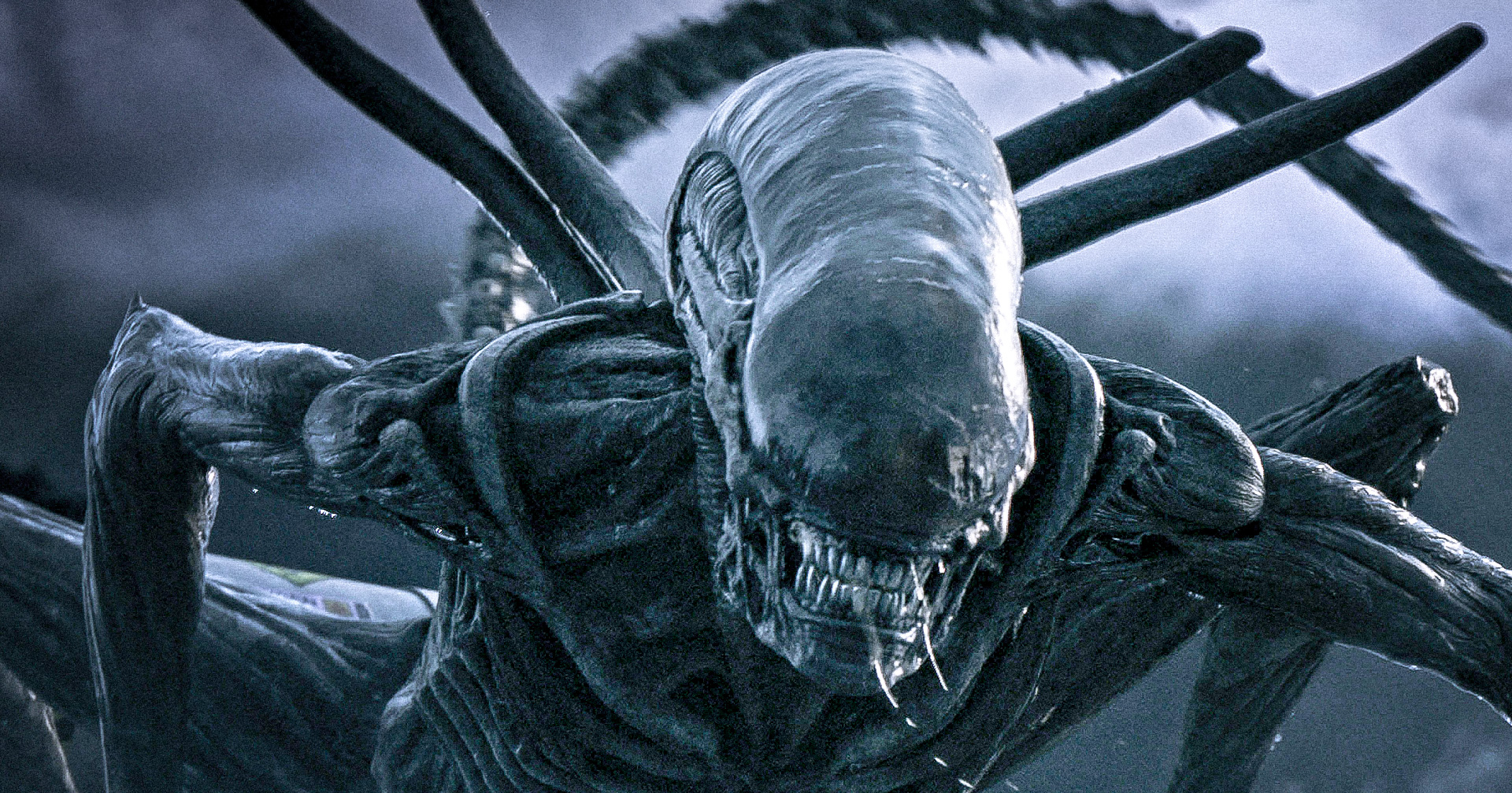 ‘Alien’ เวอร์ชันซีรีส์ จะฉายในปี 2023