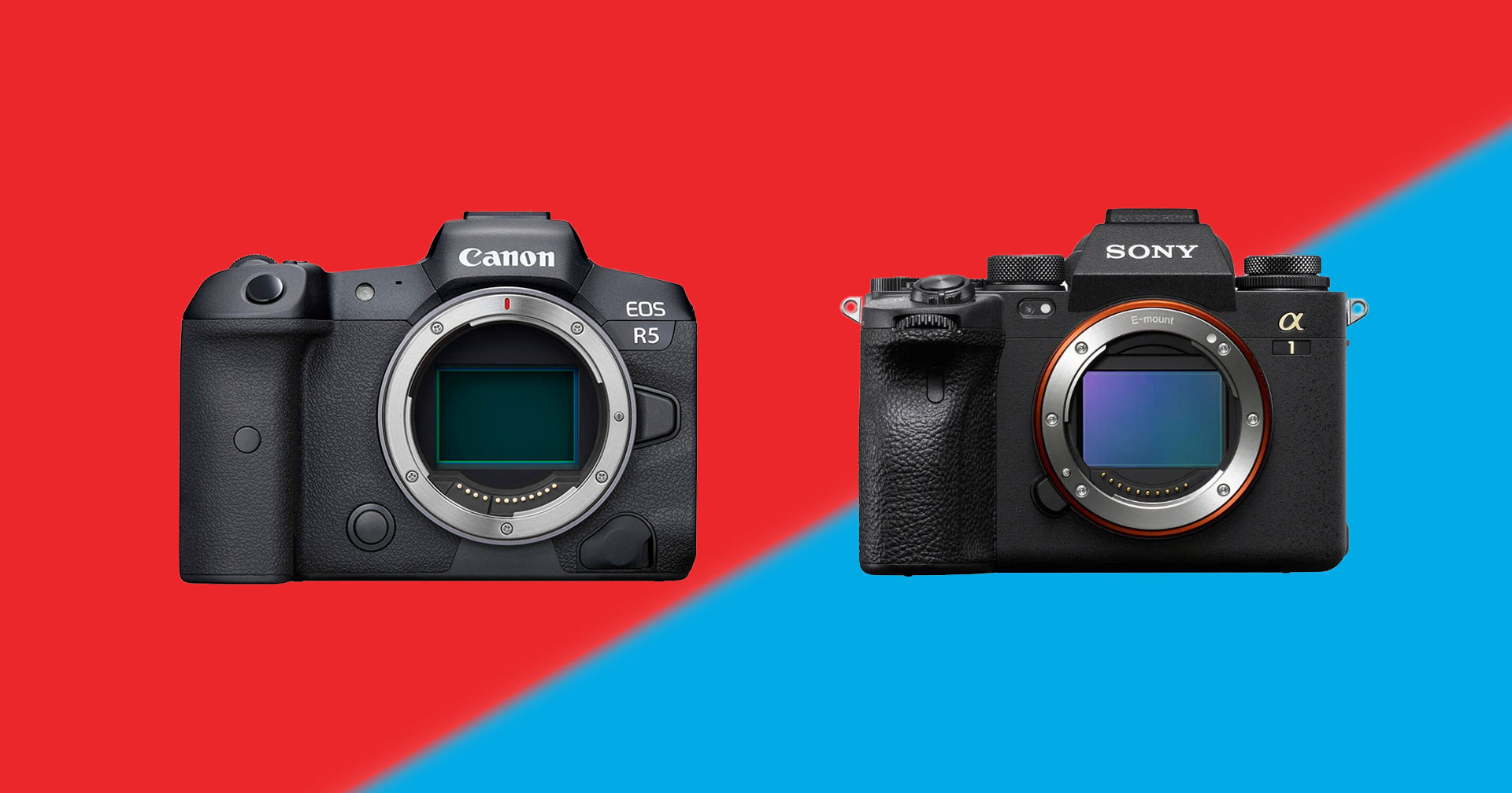 Canon, Sony ครองตลาดกล้องดิจิทัลกว่า 70% ในปี 2020