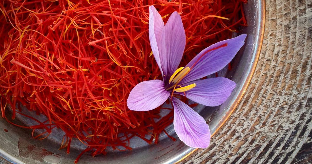 รู้จักกับ หญ้าฝรั่น (Saffron) เครื่องเทศแพงที่สุดในโลก กิโลกรัมละกว่า 1 แสนบาท