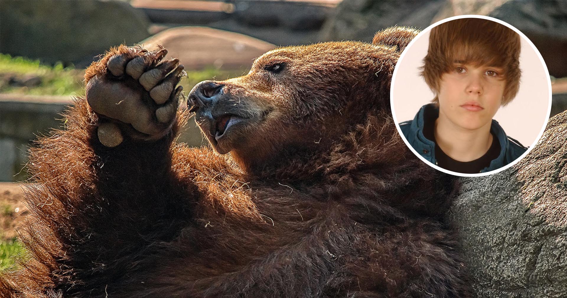 เพลง Baby ของ จัสติน บีเบอร์ ช่วยชีวิตชายจากการถูกหมีโจมตี