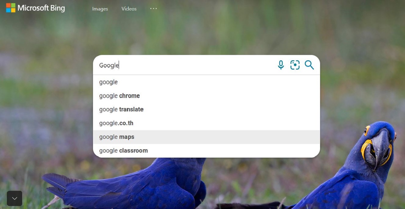 Google เผยคำที่ถูกค้นหามากที่สุดใน Bing คือคำว่า “Google”