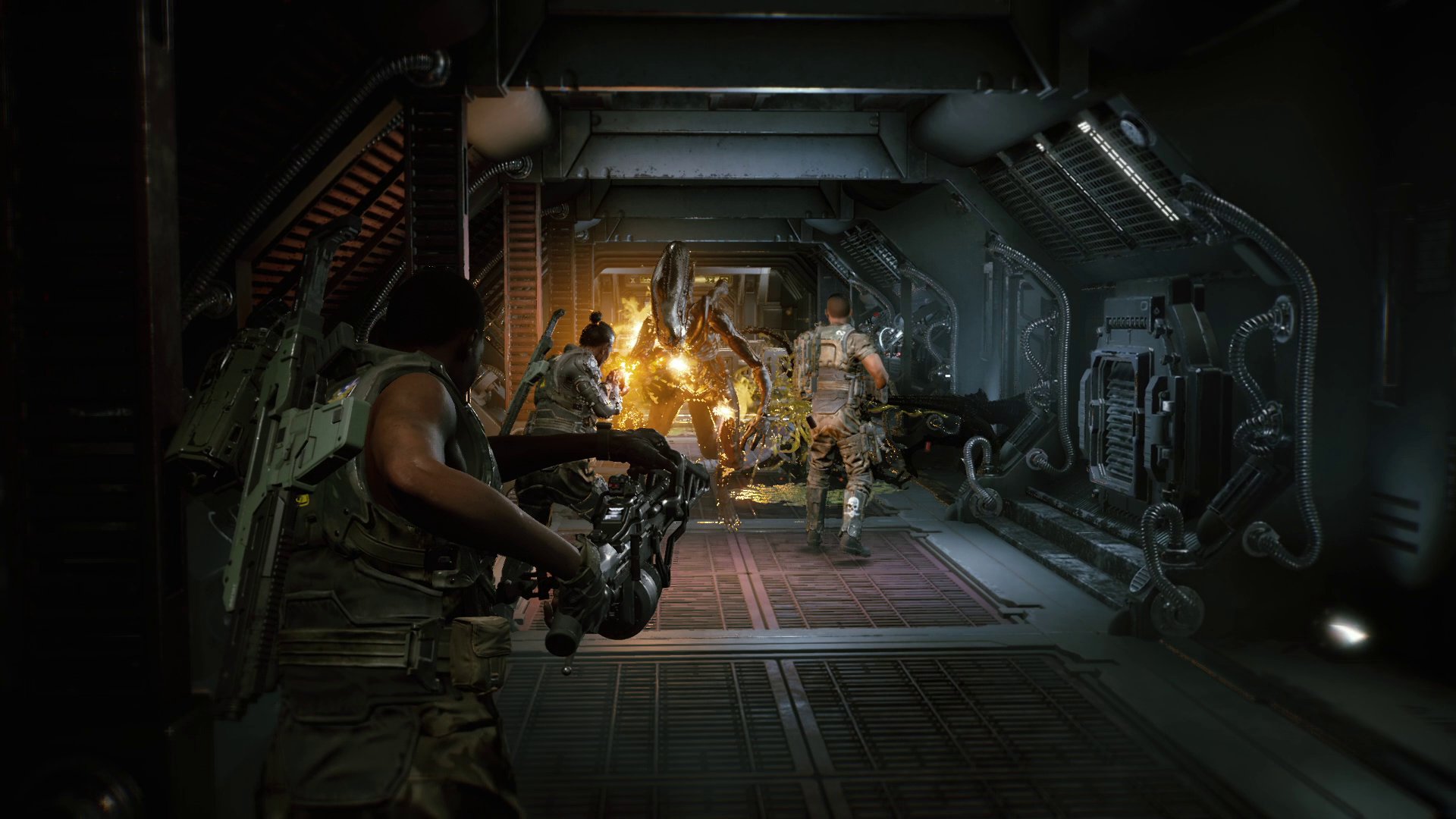 หลังจากวางจำหน่ายไป 7 สัปดาห์ Aliens: Fireteam Elite เหลือผู้เล่นไม่ถึง 800 คน