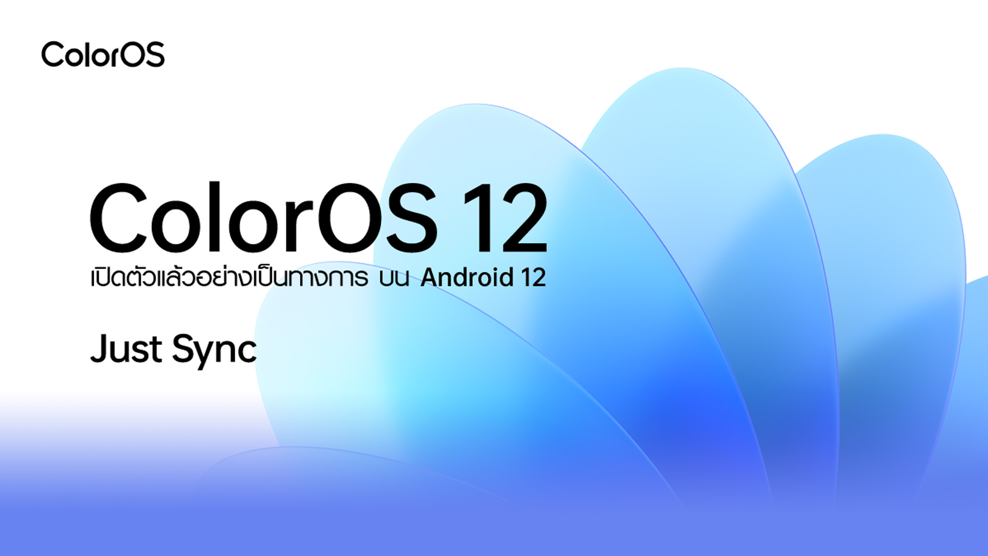 OPPO เปิดตัว ColorOS 12 Global Version อย่างเป็นทางการ ColorOS ใหม่บน Android 12