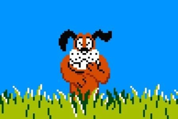 Duck Hunt