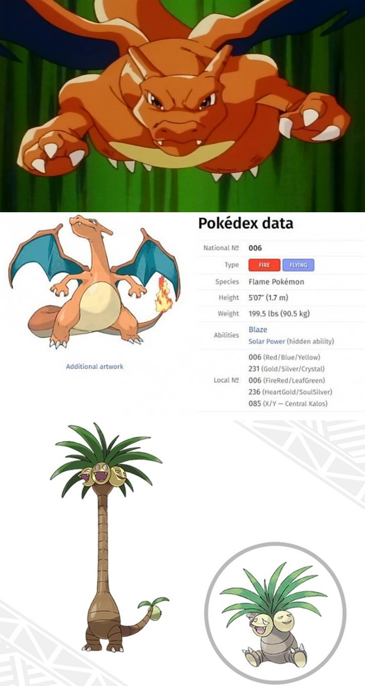  Pokemon