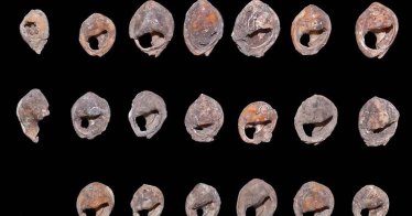 นักโบราณคดีพบเครื่องประดับยุคหิน ที่อาจเก่าแก่ที่สุดในโลกอายุเกือบ 150,000 ปี