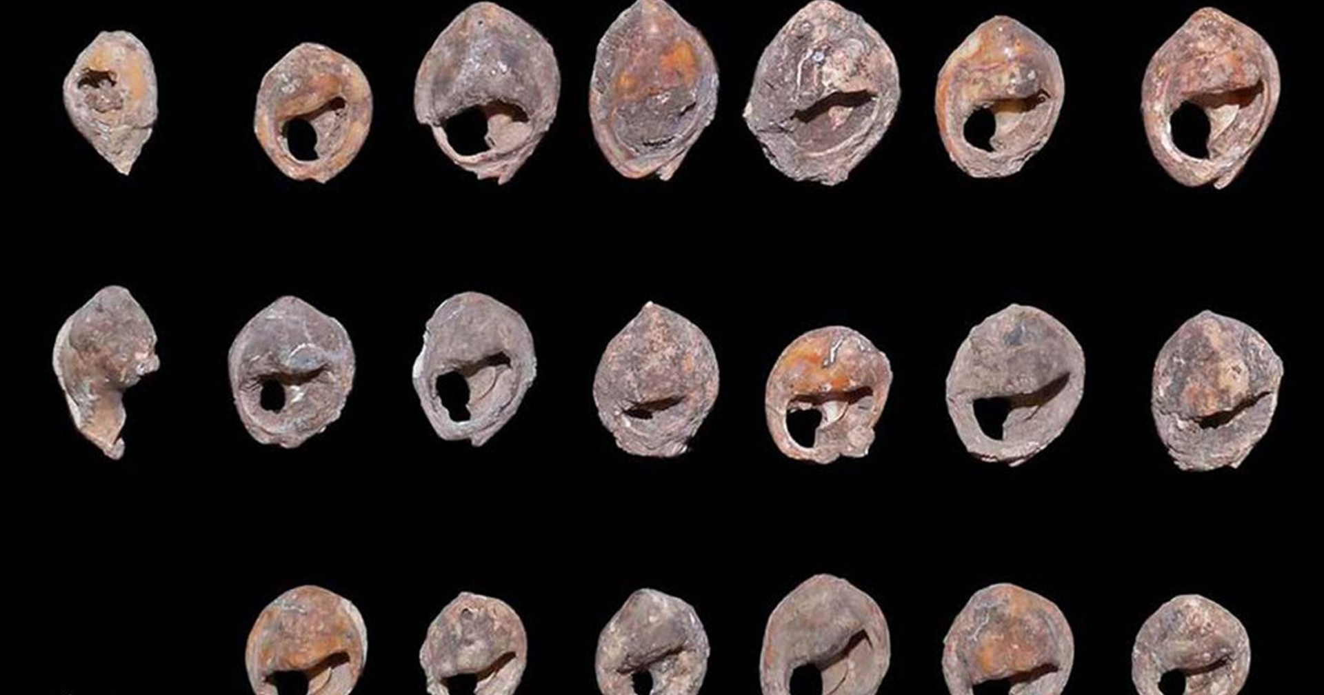 นักโบราณคดีพบเครื่องประดับยุคหิน ที่อาจเก่าแก่ที่สุดในโลกอายุเกือบ 150,000 ปี