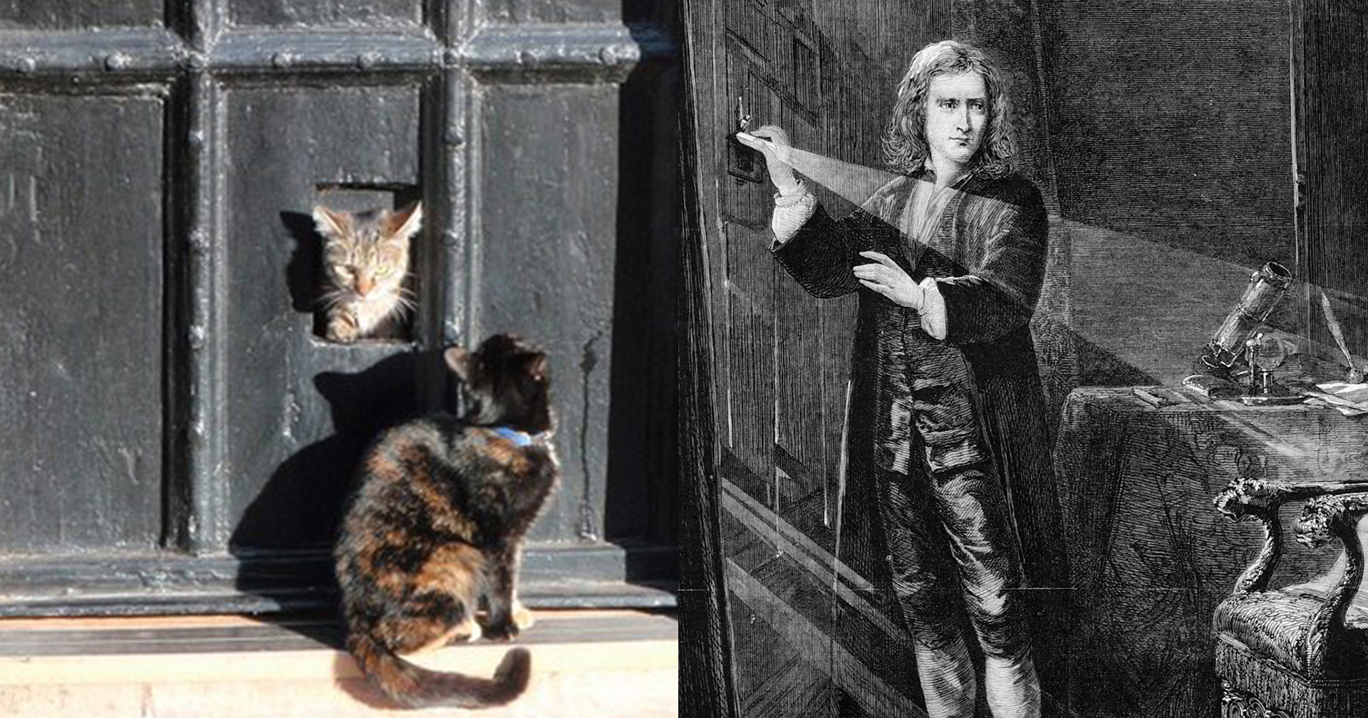 เซอร์ ไอแซก นิวตัน คิดค้น ‘ประตูแมว’ เพราะรำคาญเสียงแมว ‘ข่วนประตูขอเข้าห้อง’