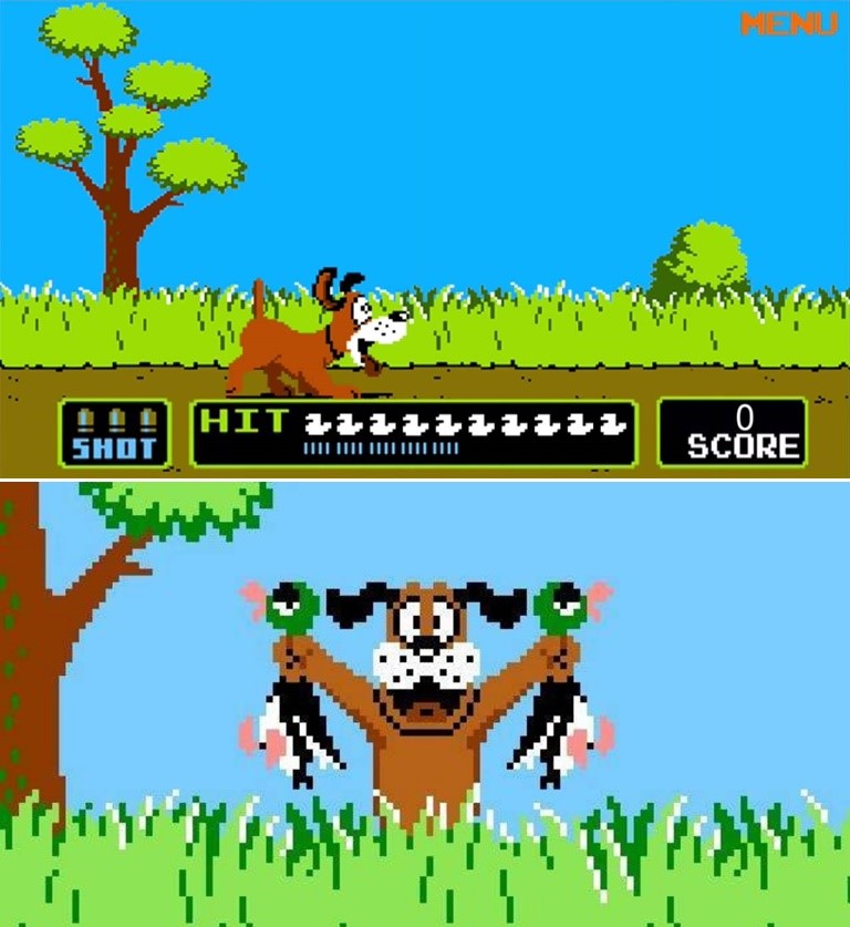 Duck Hunt