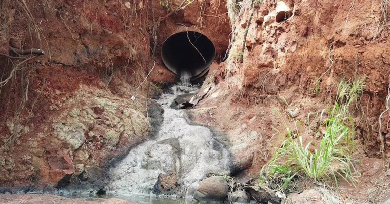 เบียร์ ลำธาร ฮาวาย