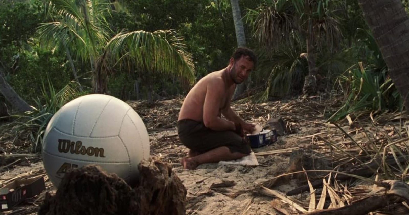 Wilson from Cast Away