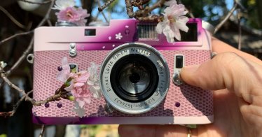 Leica M4 Sakura