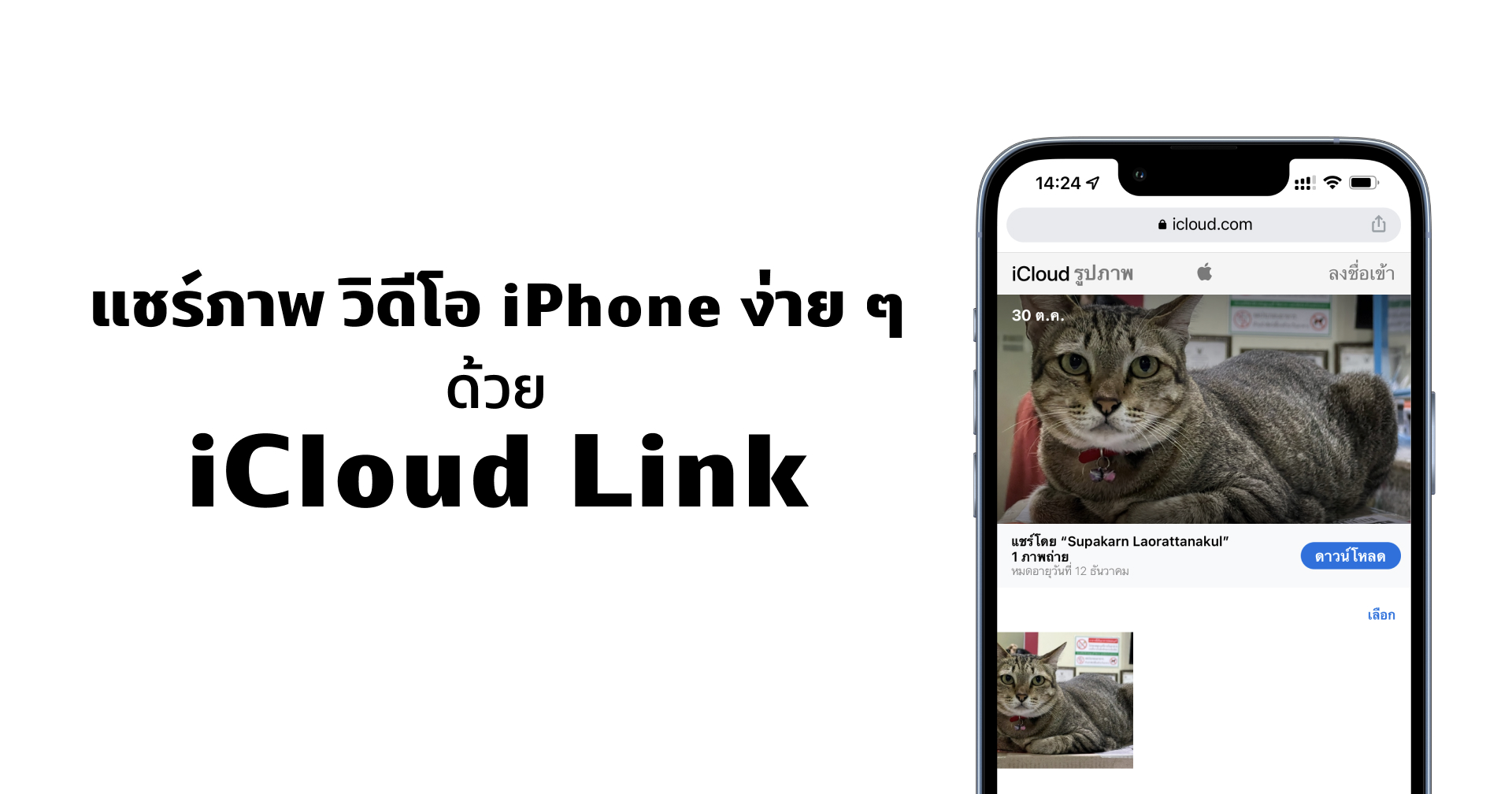 แชร์ภาพและวิดีโอเป็นลิงก์ให้ใครก็ได้โหลด แบบไม่เสียคุณภาพจาก iPhone ง่าย ๆ ด้วย iCloud Link