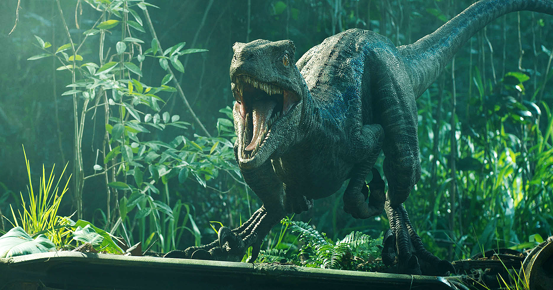 ภาพใหม่จาก ‘Jurassic World: Dominion’ เผยให้เห็นแร็ปเตอร์สายพันธุ์ใหม่