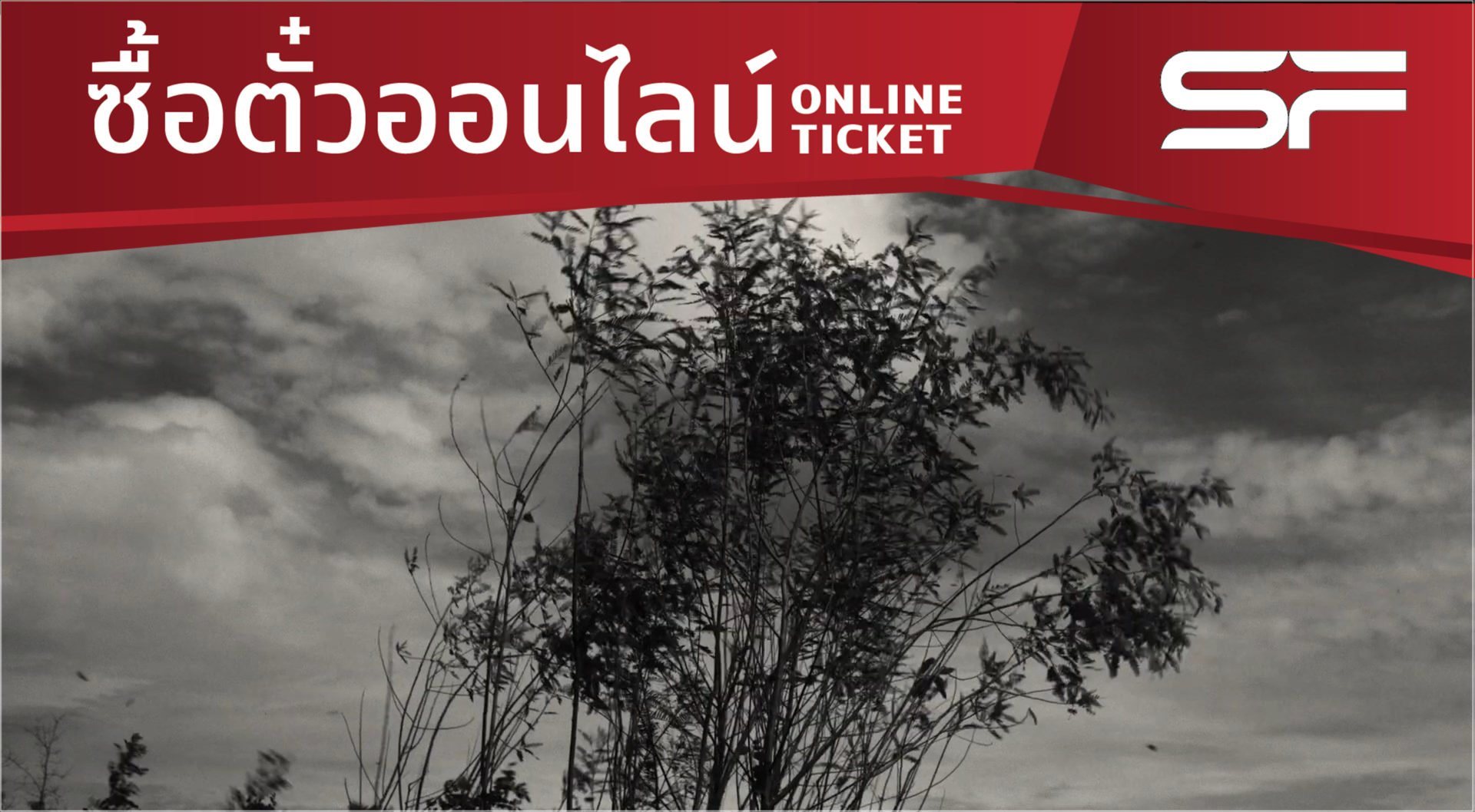 พญาโศกพิโยคค่ำ