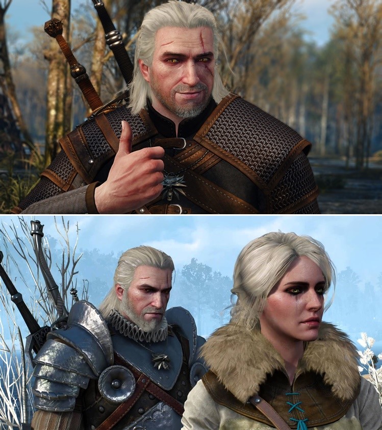 The Witcher