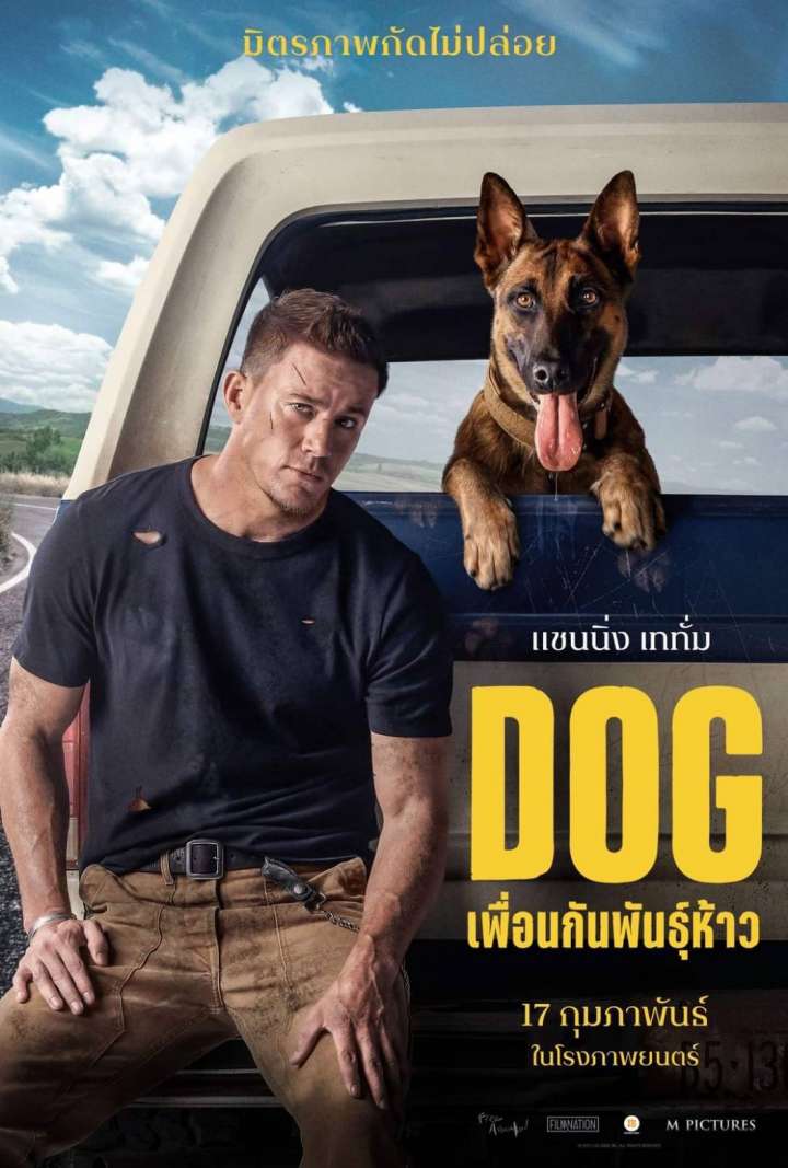 รีวิว] Dog เพื่อนกันพันธุ์ห้าว - จดหมายรักห้าว ๆ ของแชนนิง เททัม ถึงน้องหมาที่ชื่อลูลู่ - #beartai