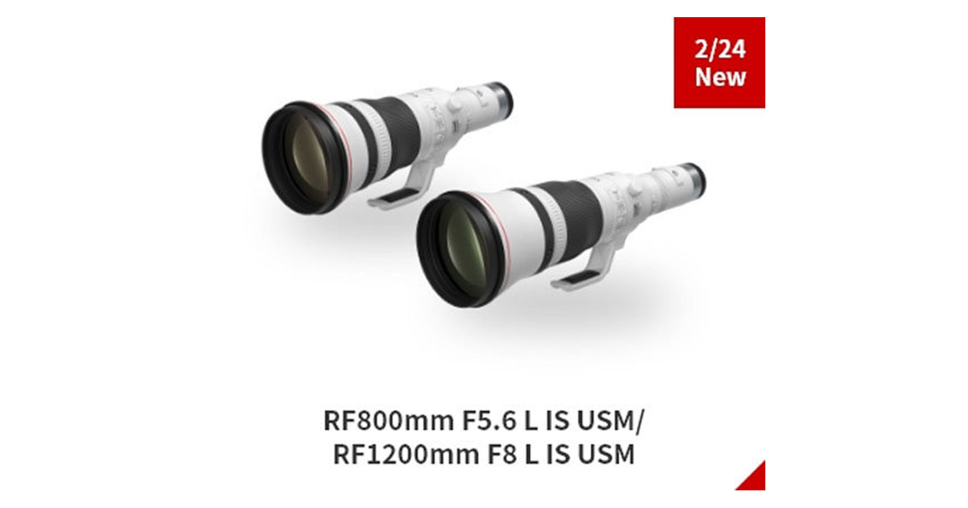 หลุดภาพแรก! สุดยอดเลนส์เทเลโฟโต Canon RF 800mm F5.6L และ RF 1200mm F8L
