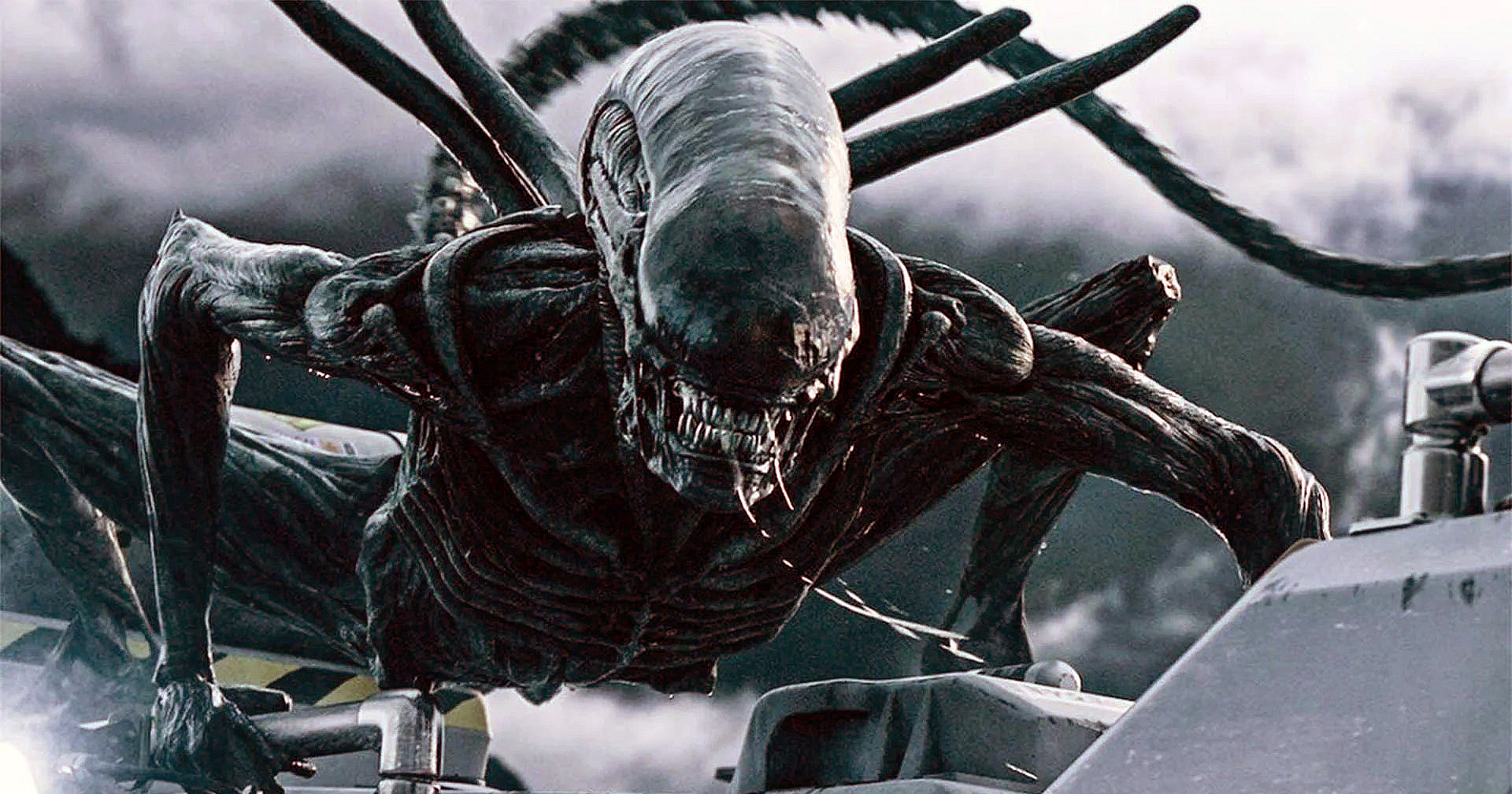 ริดลีย์ สก็อตต์ เดินหน้าสร้าง ‘Alien 5’ : จะกำกับโดยผู้กำกับ ‘Don’t Breathe’