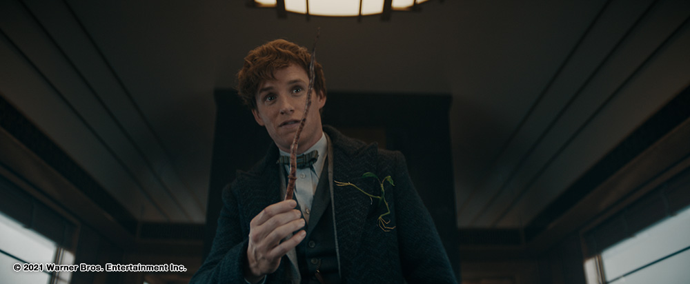 Fantastic Beasts : The Secrets of Dumbledore