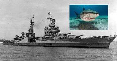 ย้อนอดีตหฤโหด วันที่ฉลามโจมตีมนุษย์รุนแรงที่สุดในประวัติศาสตร์ 150 คนโดนกินต่อหน้าต่อตา