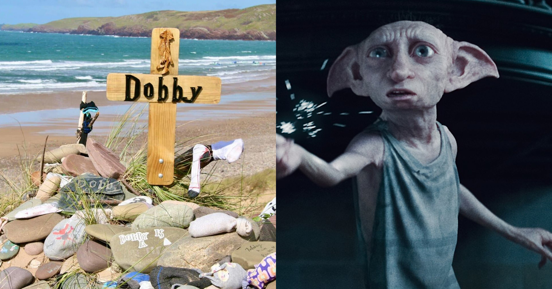 แฟน ๆ Harry Potter ร้องหน่วยงานรัฐ ยกเลิกรื้อถอนหลุมฝังศพ ‘Dobby’ ชี้เป็นสถานที่สำคัญทางจิตใจ