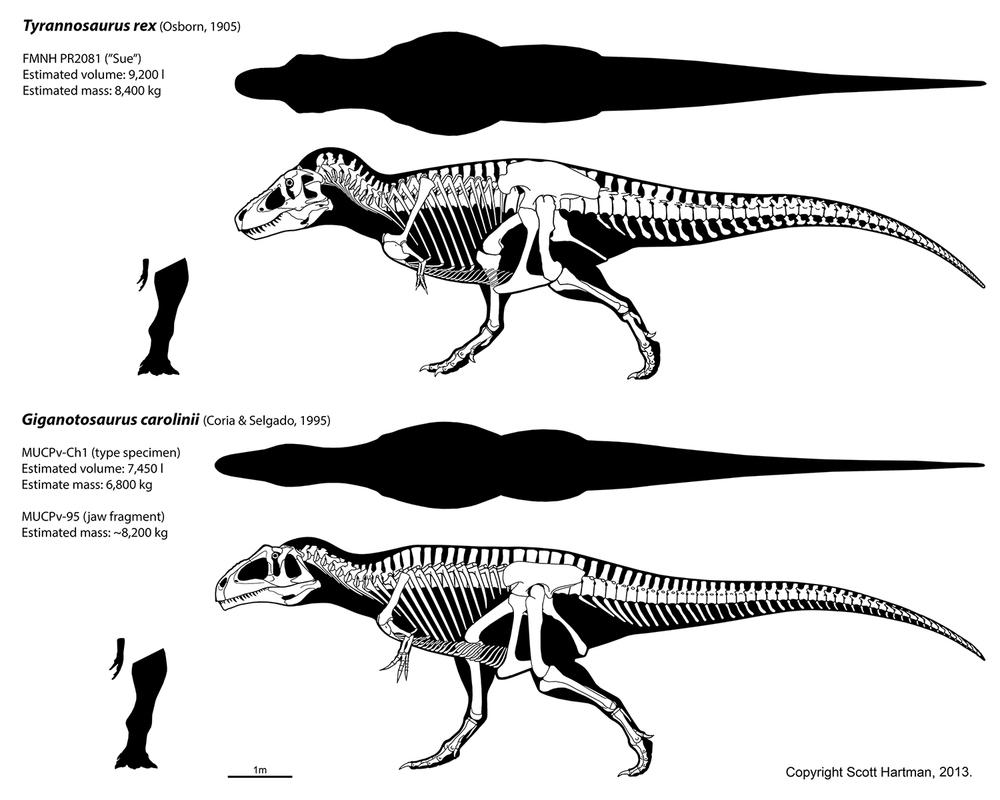 jurassic world dominion Giganotosaurus