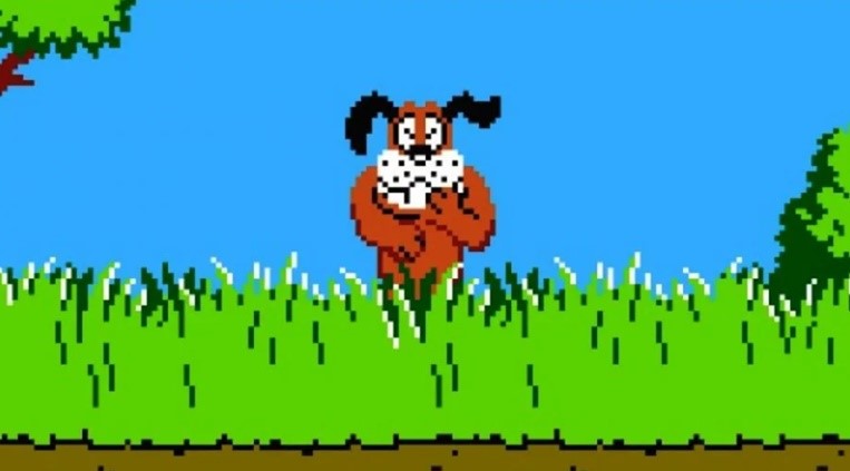 Duck Hunt