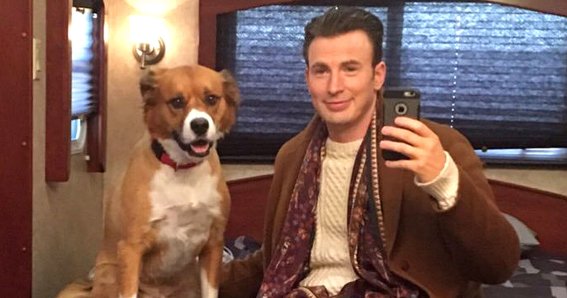Chris Evans เผยการรับสุนัขไร้บ้านมาเลี้ยงเป็น ‘การตัดสินใจที่ดีที่สุด’ ในชีวิต