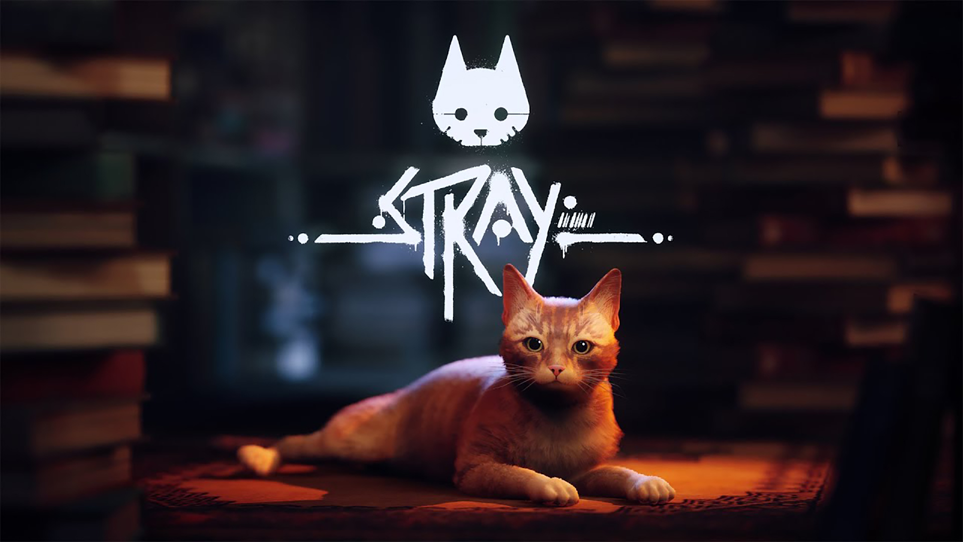 STRAY จะวางจำหน่ายในช่วงกลางเดือนกรกฎาคมนี้