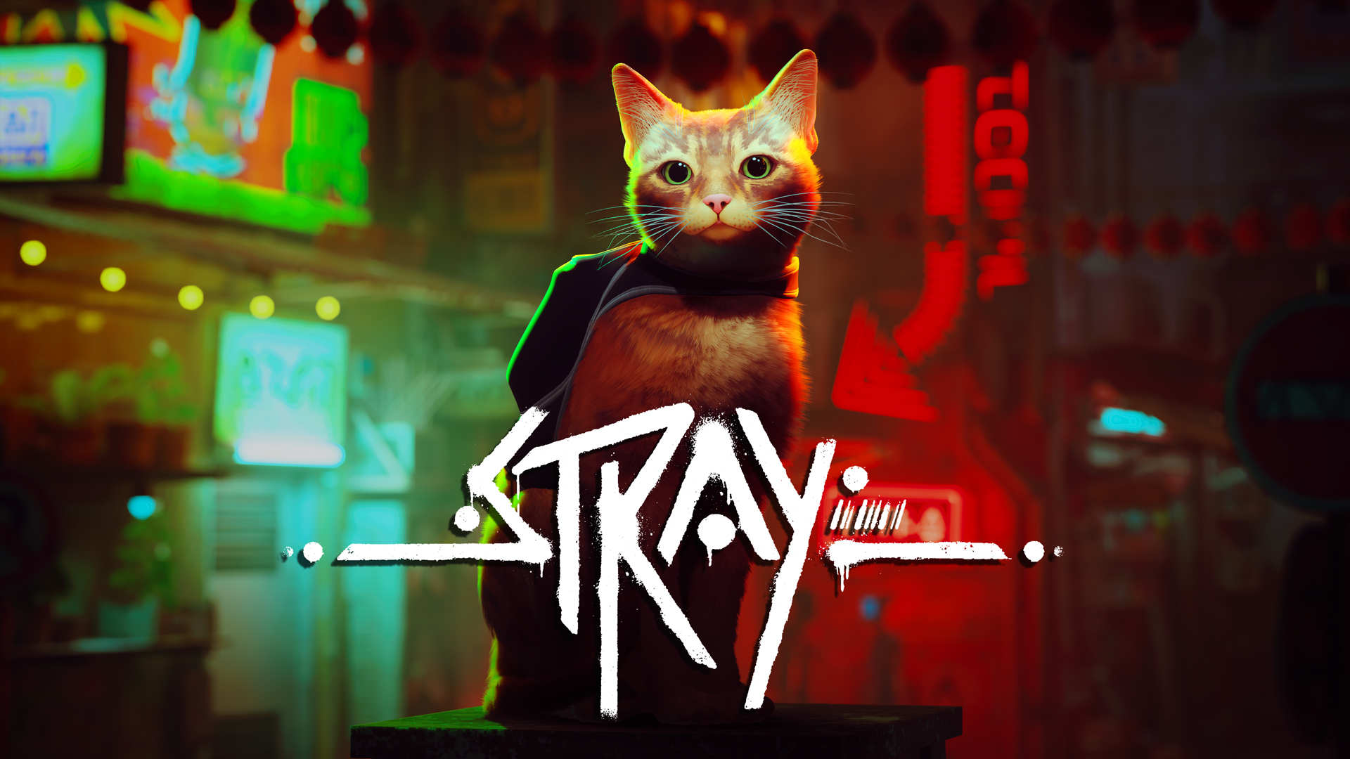 รวมคะแนนรีวิว Stray เหมียวน้อยในโลกไซเบอร์พังก์