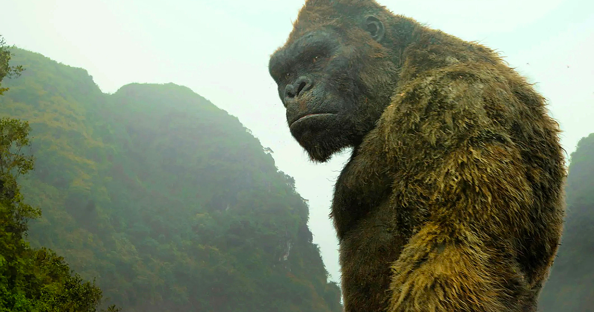 Disney+ เดินหน้าสร้างซีรีส์ ‘King Kong’ ได้ James Wan อำนวยการสร้าง