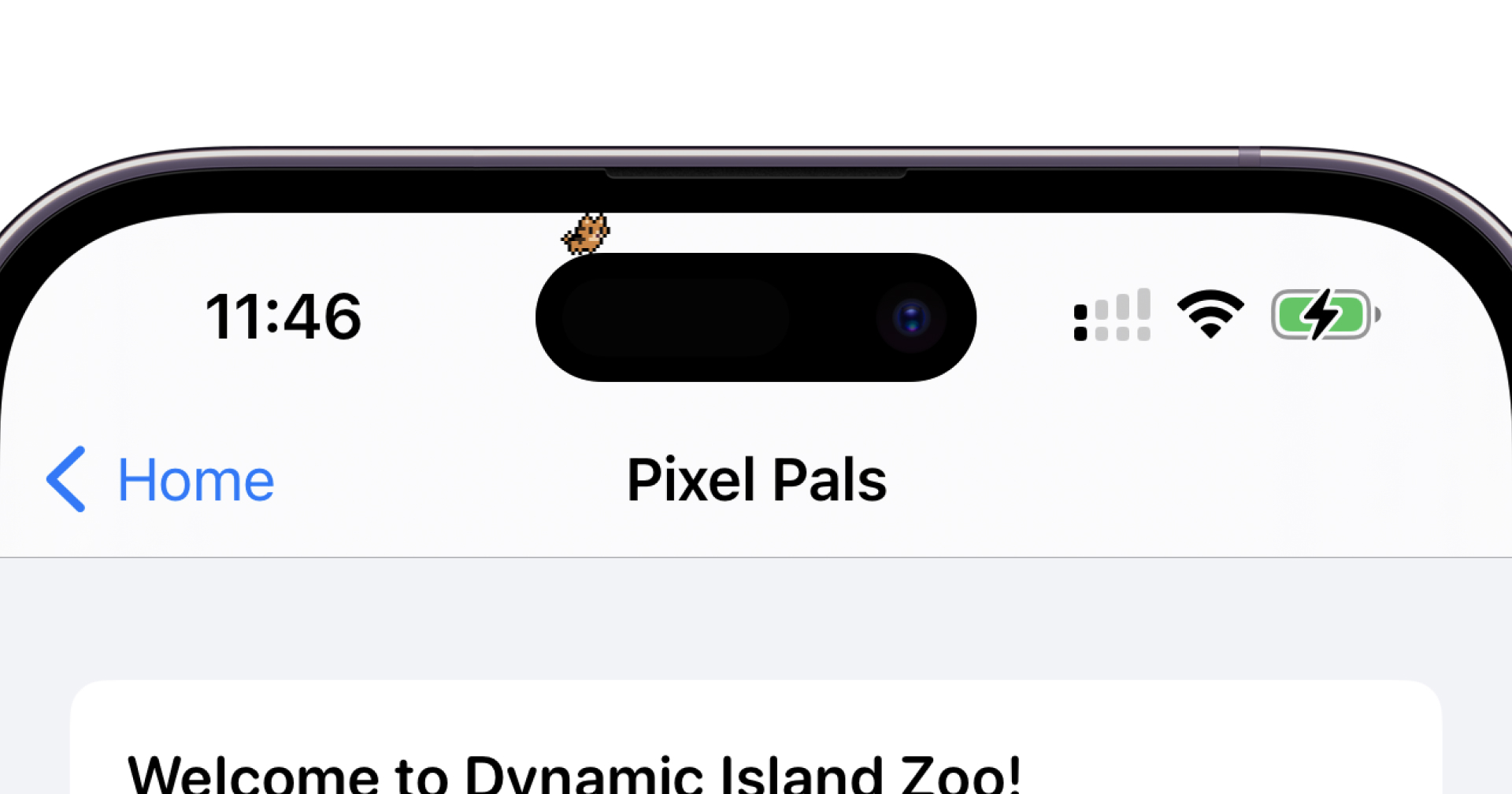 สุดน่ารัก!! เลี้ยงสัตว์บน Dynamic Island บน iPhone 14 Pro ในแอป Apollo for Reddit