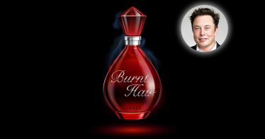 Burnt Hair Elon Musk