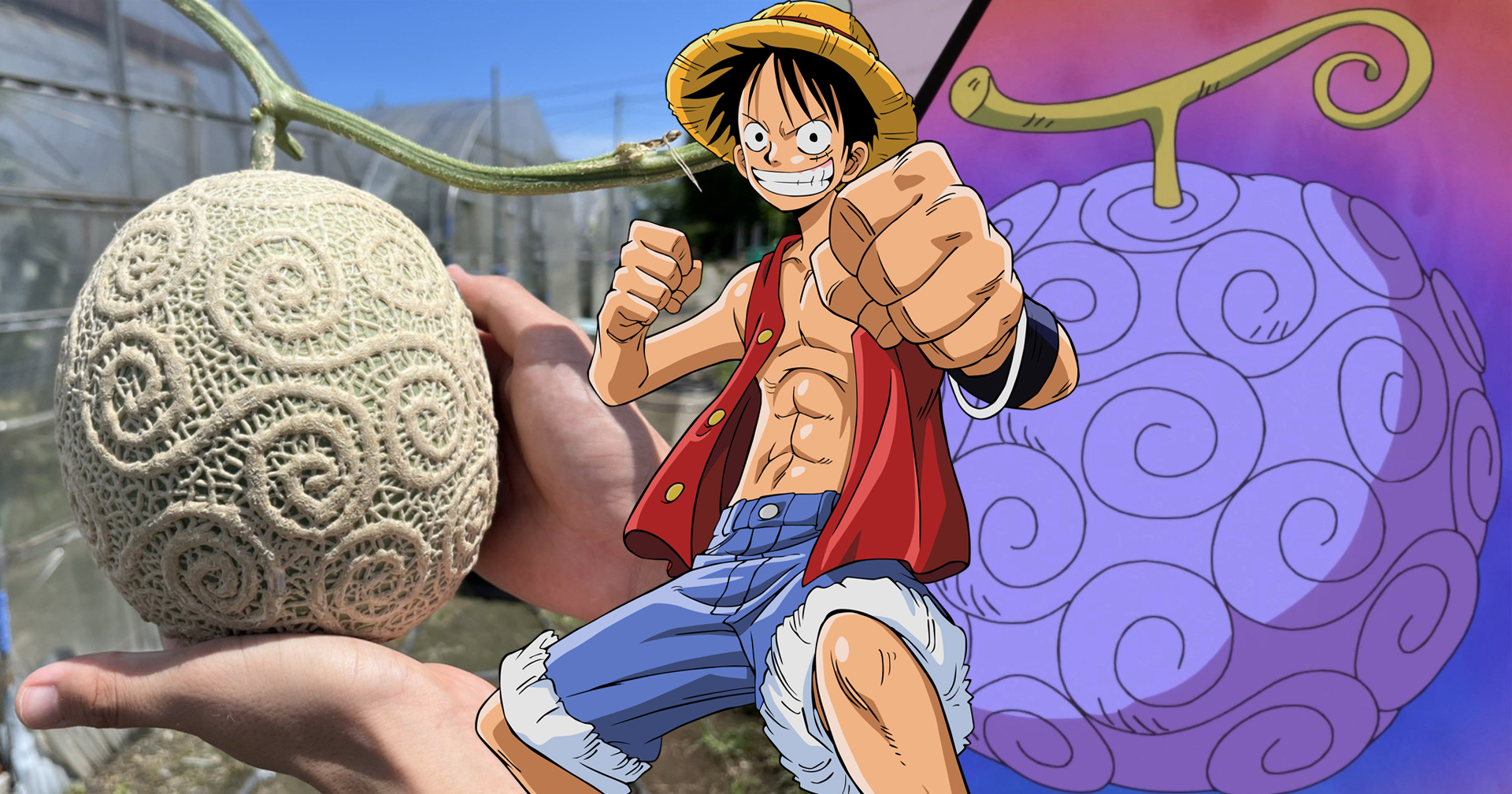 เด็ก ม. ปลายญี่ปุ่น ปลูกเมลอนคล้ายผลปีศาจใน ‘One Piece’ ก่อนถูกขอซื้อราคา 128 ล้านบาท