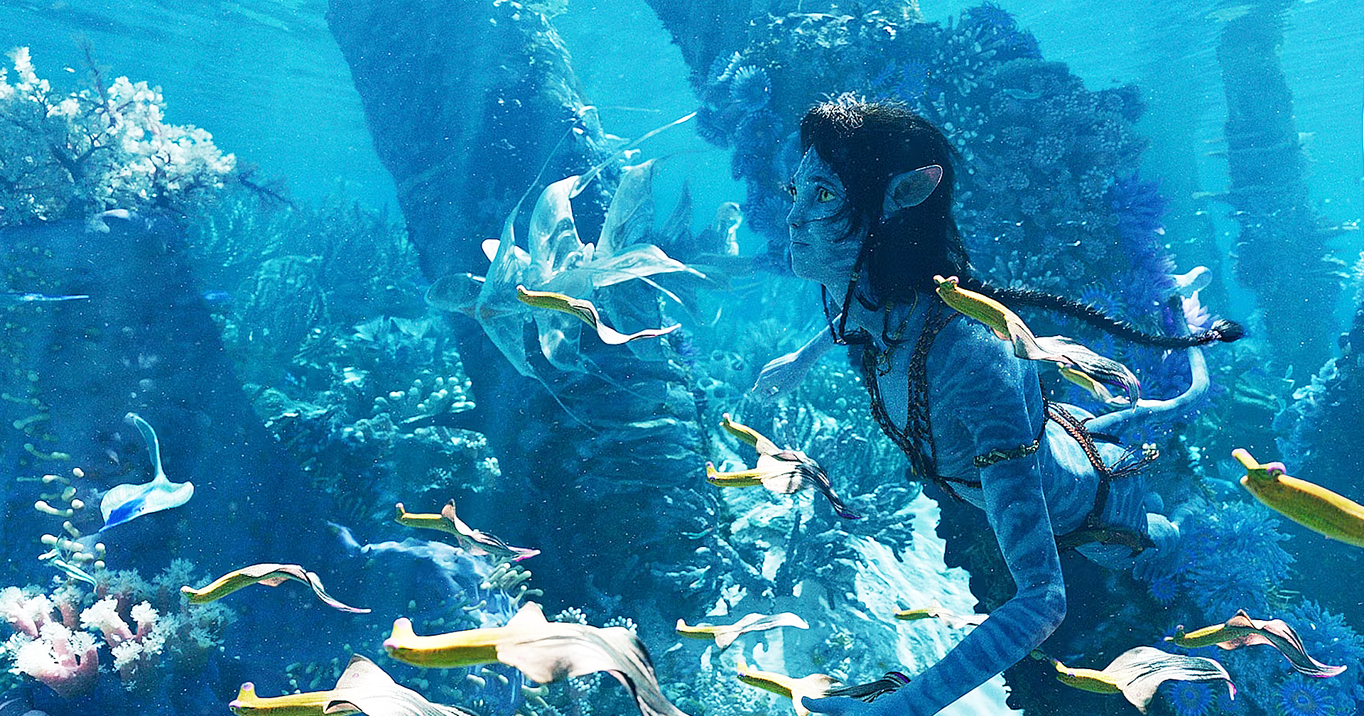 ภาพใหม่ของ ‘Avatar: The Way of Water’ เผยให้เห็นโลกใต้น้ำของ Pandora มากขึ้น