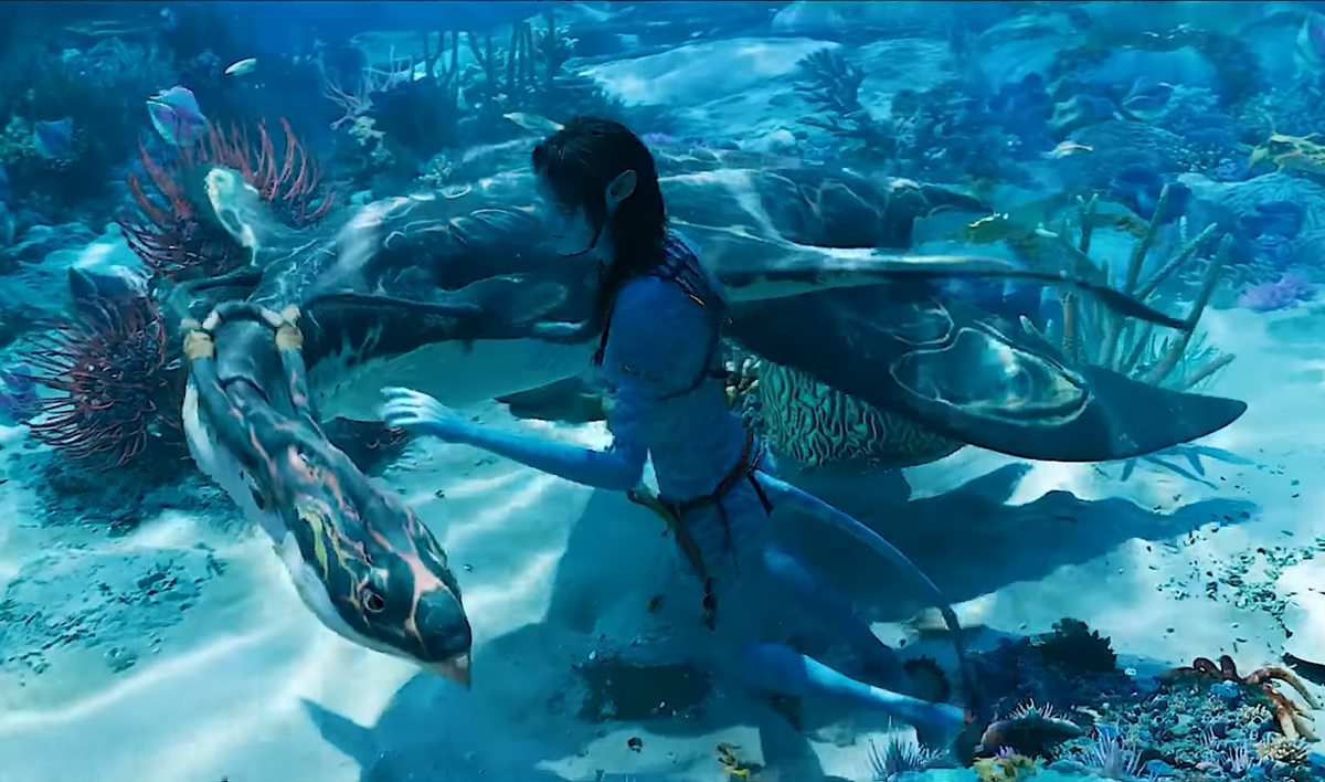 Beartai Buzz รวมพันธุ์ปลาแพนดอร่าใน 'AVATAR The Way of Water'