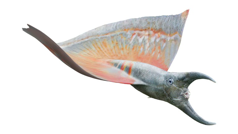 Pinya Fish รู้จักกับ Metkayina ชนเผ่าแห่งสายน้ำ จากภาพยนตร์ 'Avatar: The Way of ...