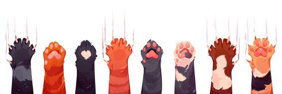 <strong>อย่าหาทำ หมอแมวเกาหลีอัดคลิปแฉดาราดังตัดข้อนิ้วแมว เพราะไม่อยากถูกข่วนหน้า </strong>