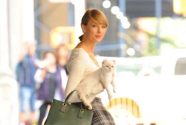 น้องแมวของ Taylor Swift ติดอันดับสัตว์เลี้ยงที่รวยที่สุดในโลก โดยมีมูลค่าสูงถึง 3,300 ล้านบาท
