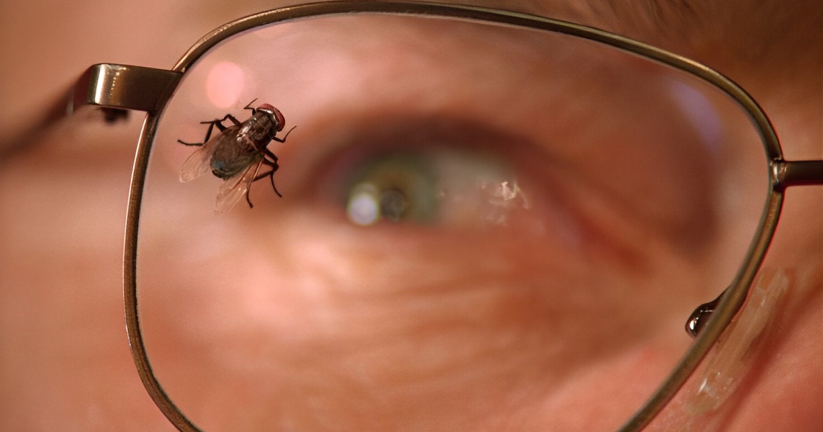 Breaking Bad 'Fly' Walter White Jesse Pinkman