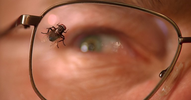 Breaking Bad 'Fly' Walter White Jesse Pinkman